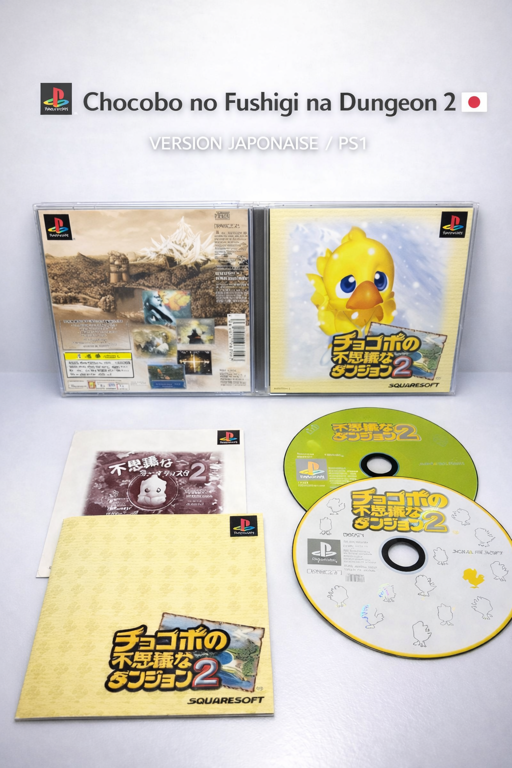 Chocobo's Dungeon 2