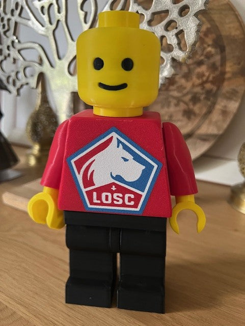 Lego Géant Lille Losc