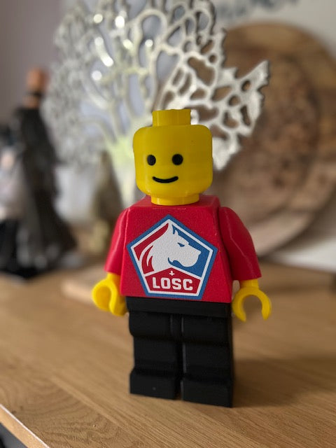 Lego Géant Lille Losc