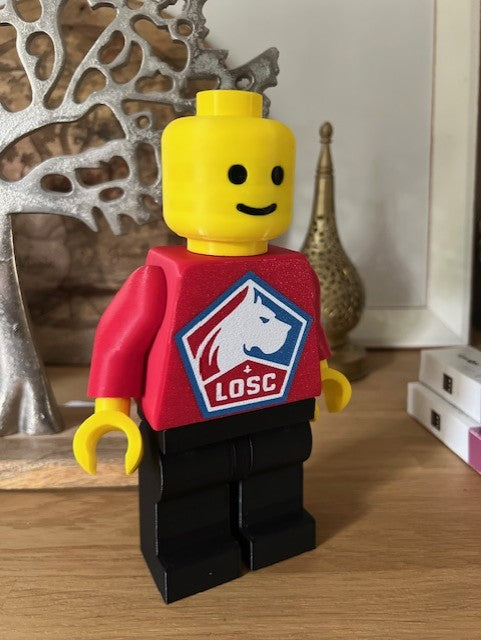 Lego Géant Lille Losc