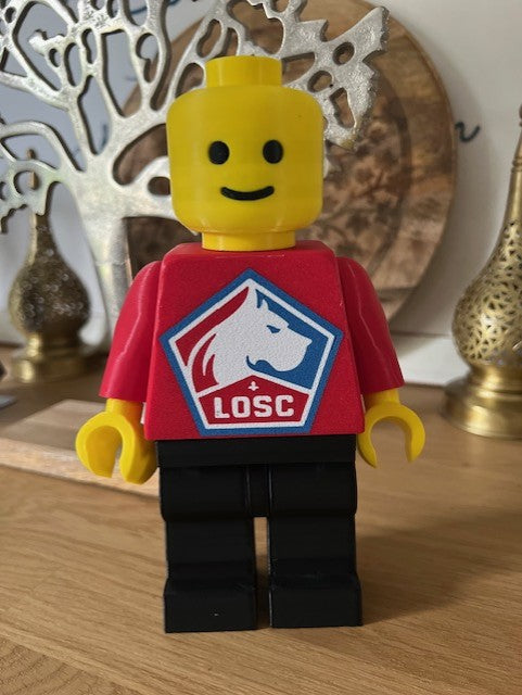 Lego Géant Lille Losc
