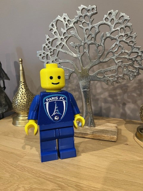 Lego Géant Paris FC