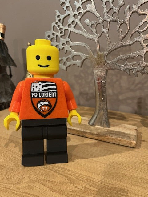 Lego Géant FC Lorient